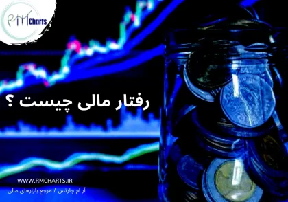 رفتار مالی چیست