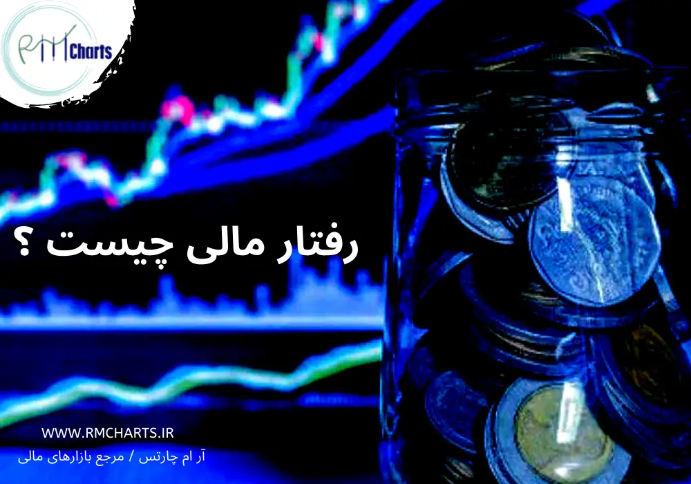 رفتار مالی چیست