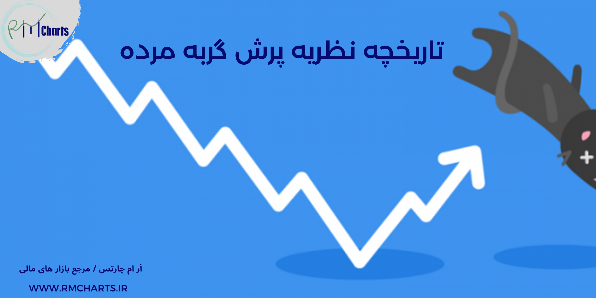 تاریخچه نظریه پرش گربه مرده