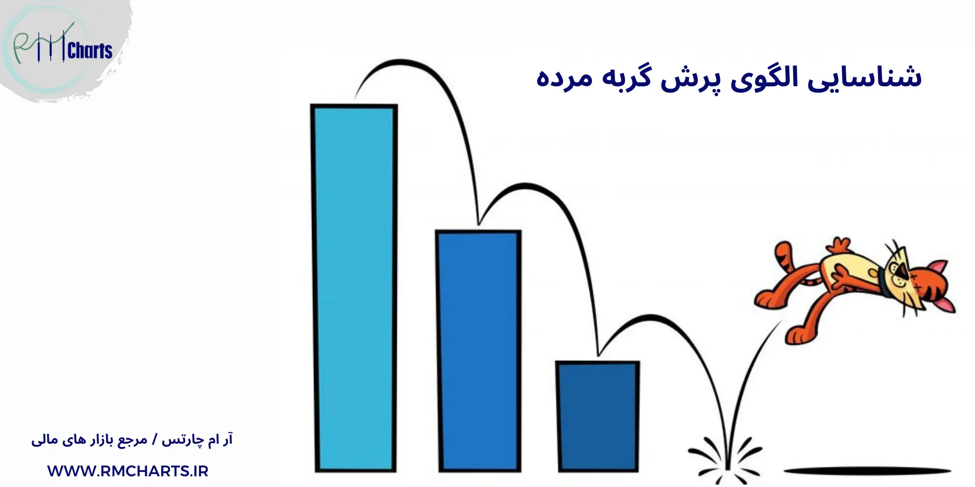 شناسایی الگوی پرش گربه مرده