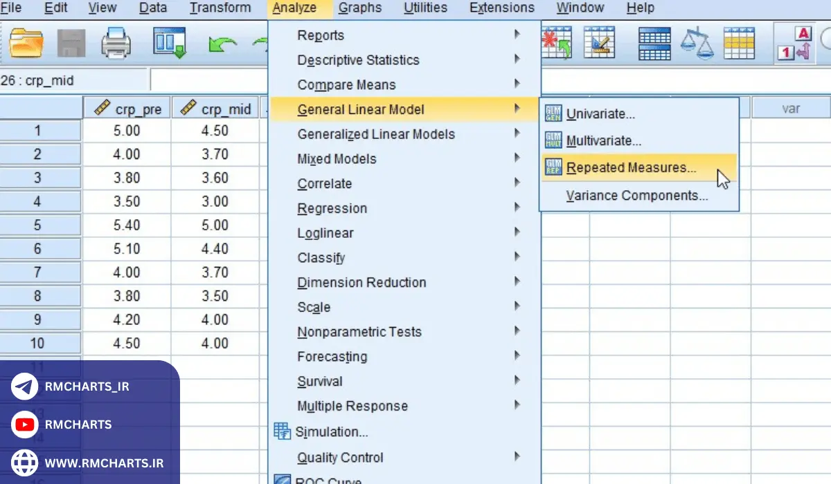 وارد کردن داده‌ها در SPSS