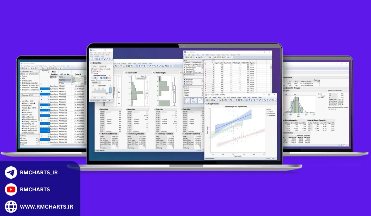 انواع نرم‌افزارهای تحلیل