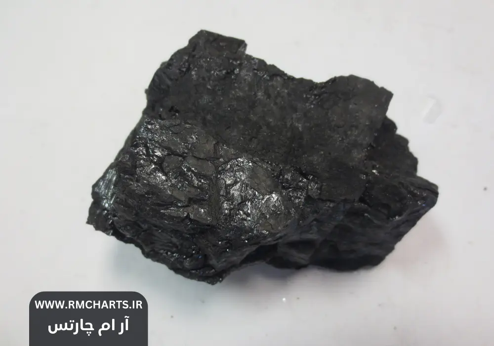 محیط مناسب برای تشکیل زغال سنگ، شرایط و فرآیندهای طبیعی