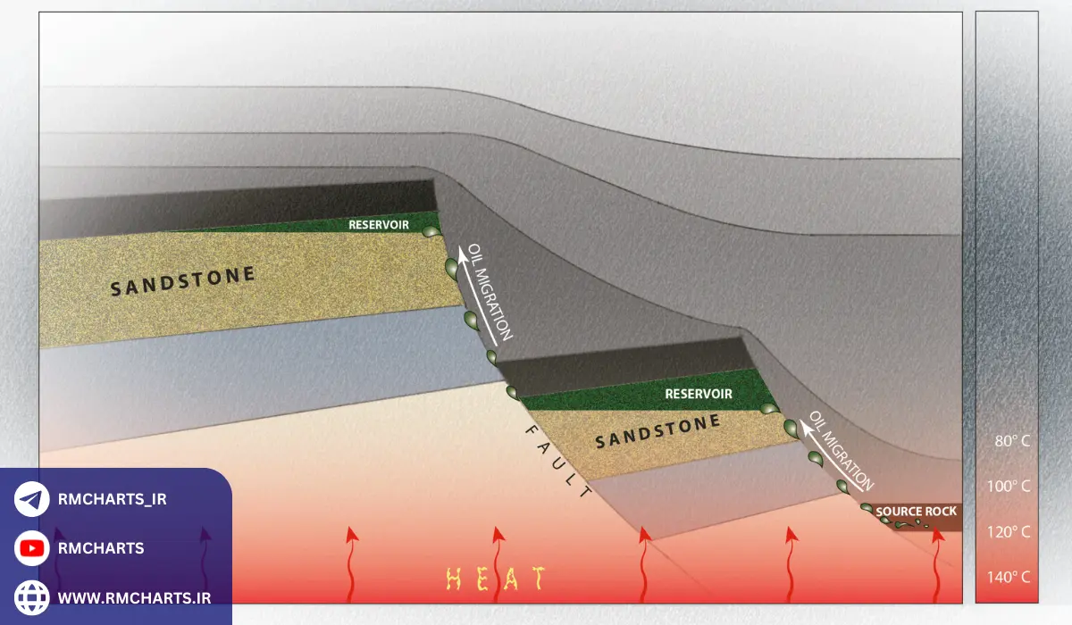 مواد اولیه برای تشکیل نفت