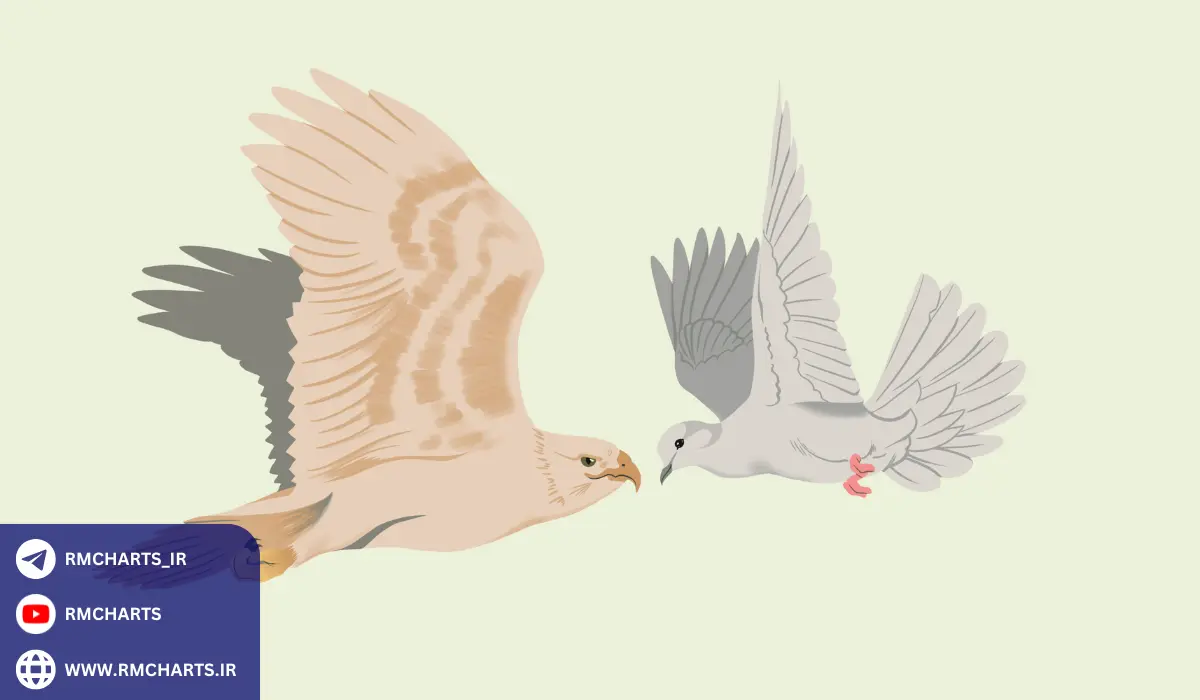 کاربردهای هاکیش و تاثیرات آن در دنیای امروز