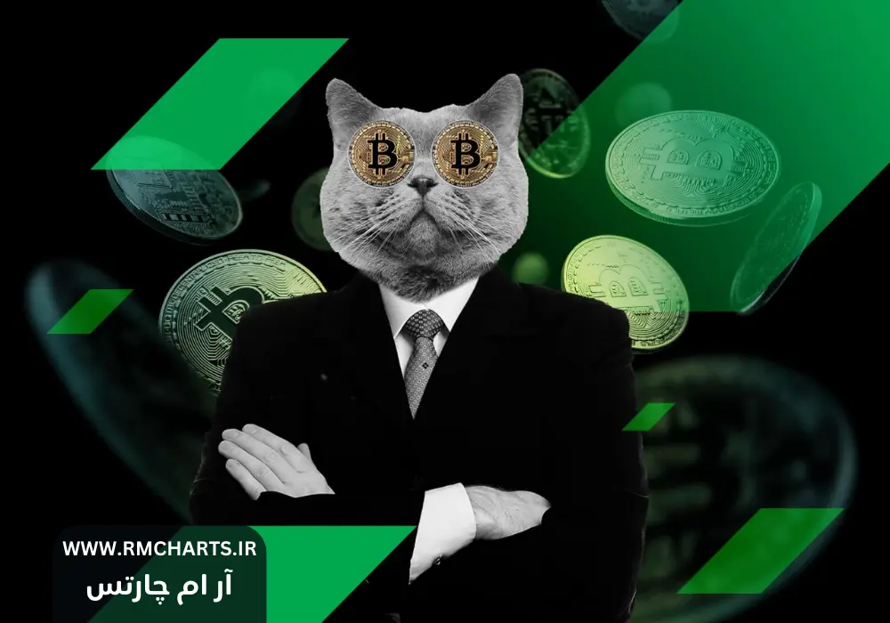 بهترین تریدرهای ارز دیجیتال جهان