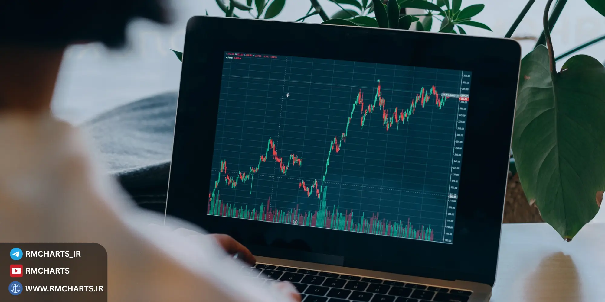 روانشناسی معامله‌گری