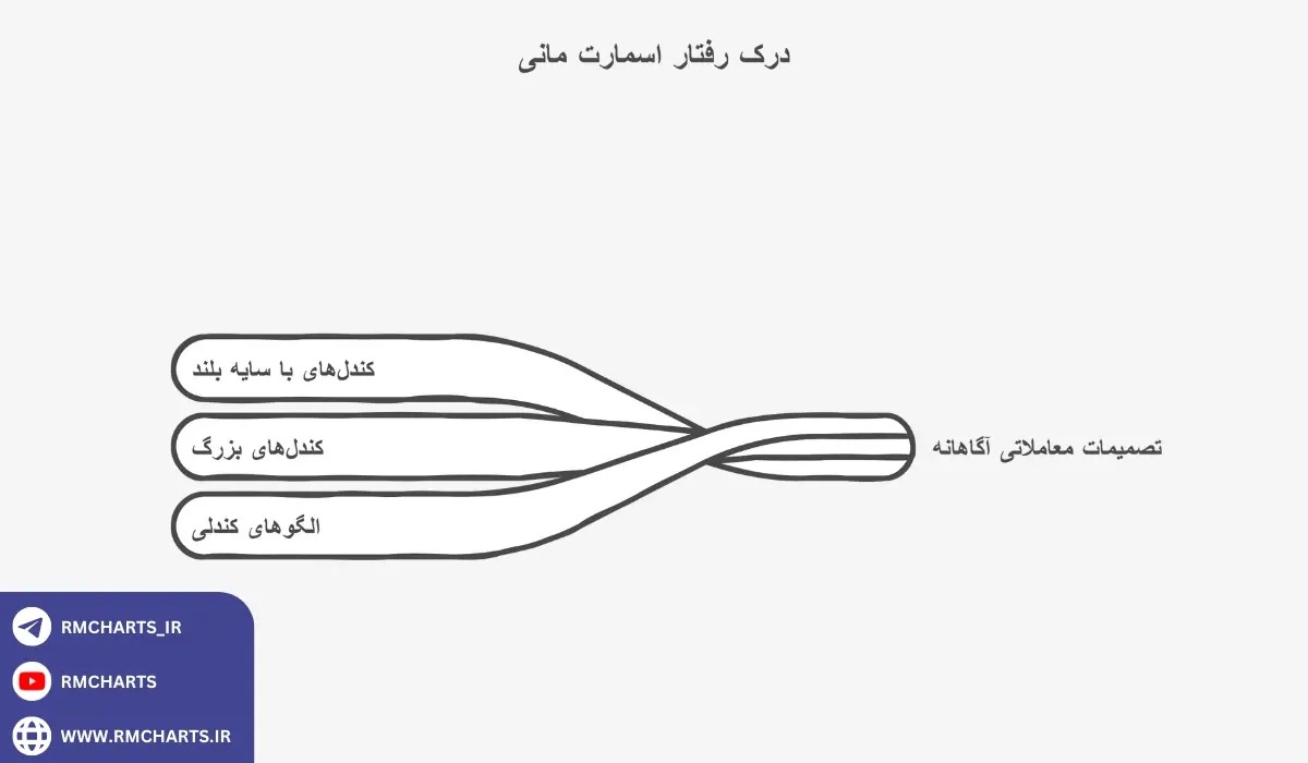 اینفوگرافیک اسمارت مانی