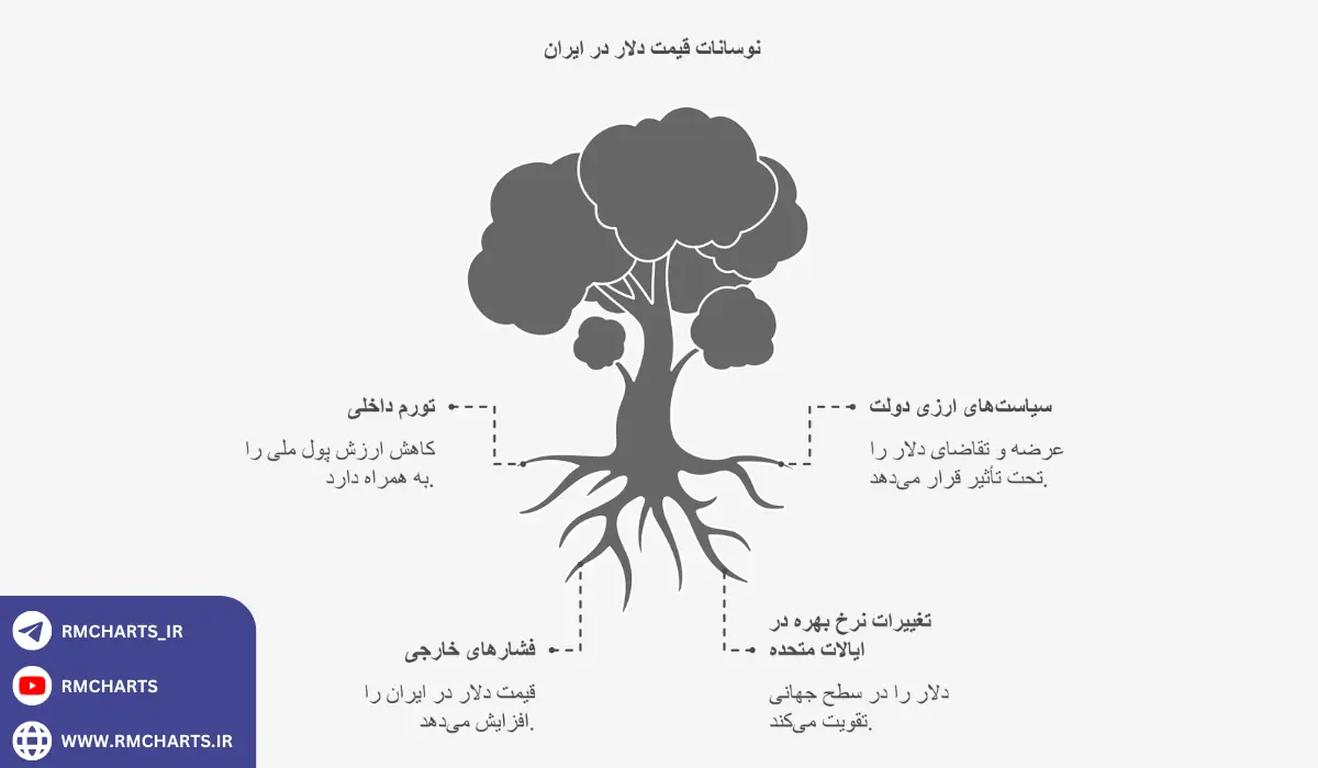 اینفوگرافیک بررسی دلایل اصلی نوسانات قیمت دلار در ایران