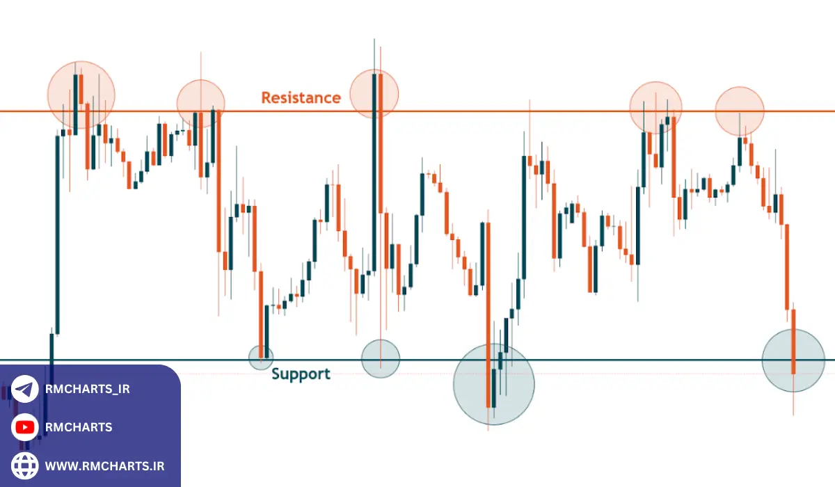 حمایت و مقاومت