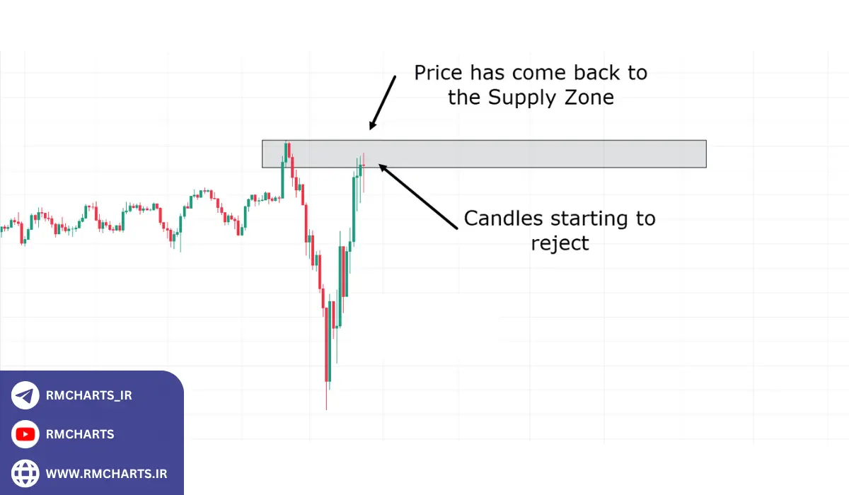نقش مدیریت سرمایه در روش عرضه و تقاضای سم سیدن