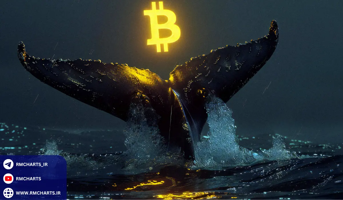 آمارهایی جالب درباره تأثیر نهنگ‌ها در بازار
