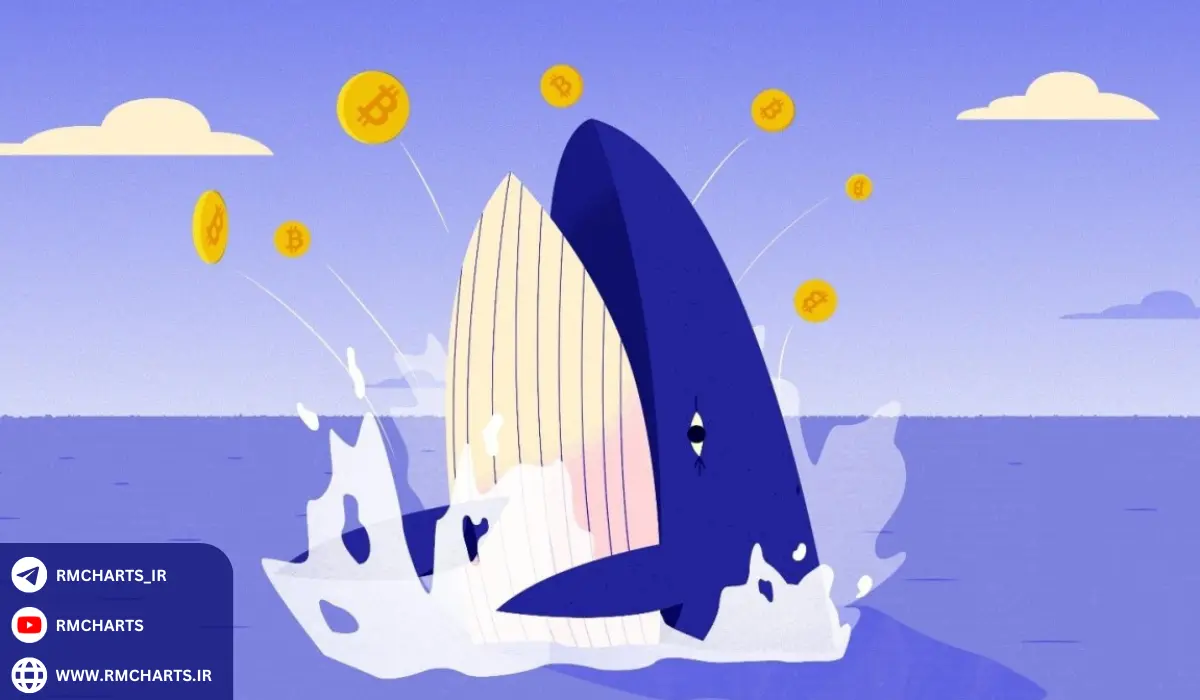 نقل‌قول‌های الهام‌بخش درباره رفتار نهنگ‌ها و بازار