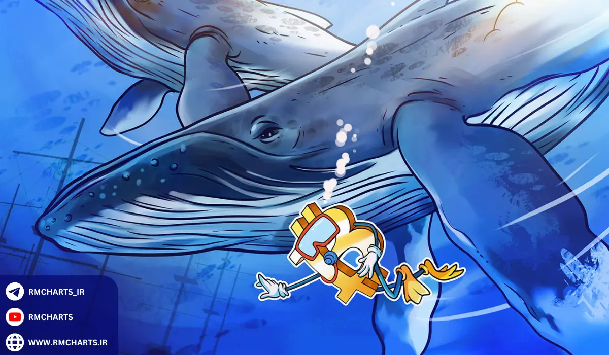 چگونه رد پای نهنگ‌ها را تشخیص دهیم؟