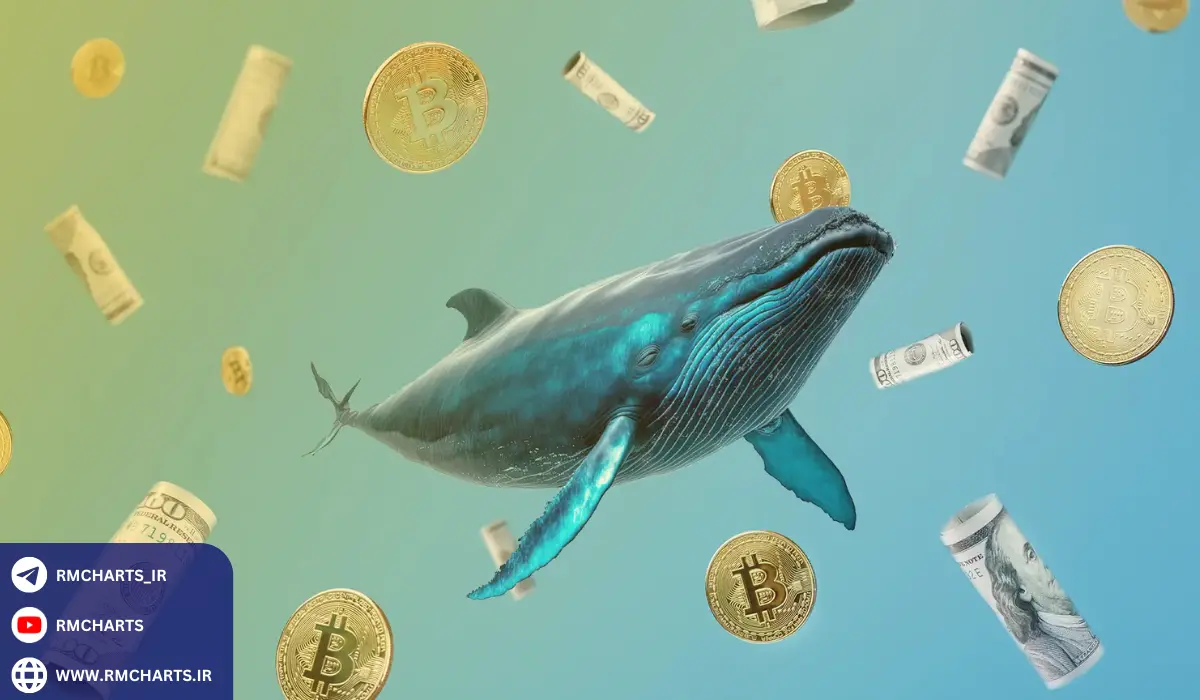 چگونه نهنگ‌ها بر قیمت‌ها تأثیر می‌گذارند؟