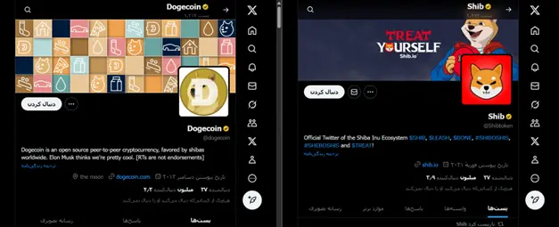 نقش جامعه و حمایت‌های رسانه‌ای در رشد هر دو میم کوین