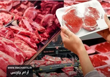 توزیع گوشت دولتی رایگان